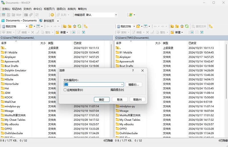 WinSCP 界面截图2