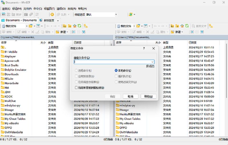 WinSCP 界面截图3